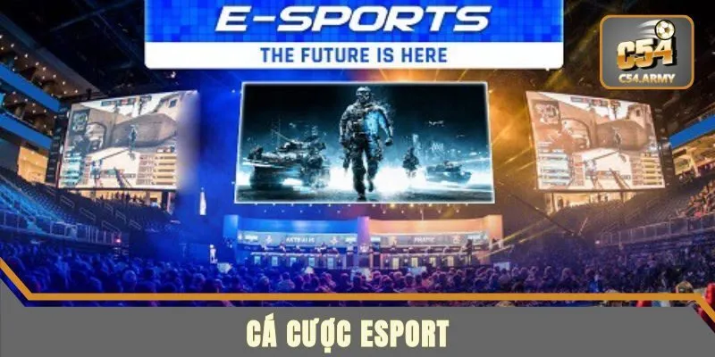 Cá Cược Esport - Bộ Môn Thể Thao Mới Cùng Trải Nghiệm Thú Vị