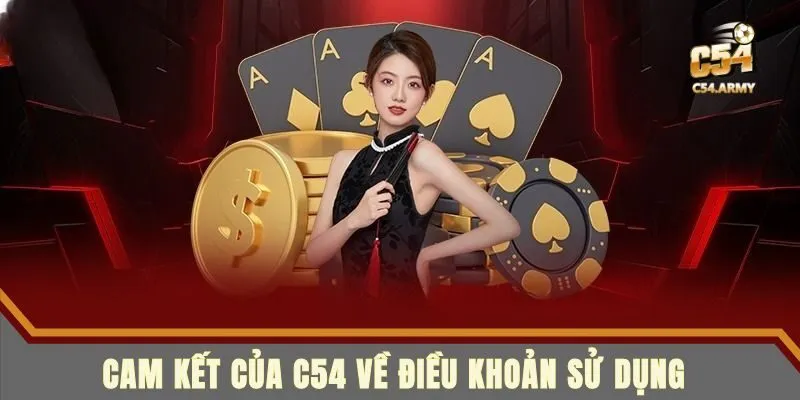 Chi tiết những cam kết của điều khoản sử dụng