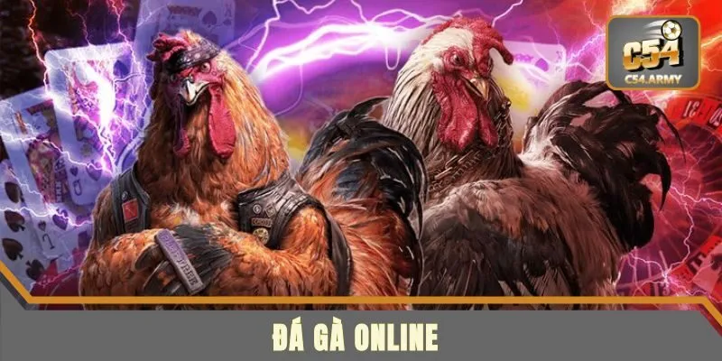 Đá Gà Online - Trải Nghiệm Cá Cược Đá Gà Hot Tại C54
