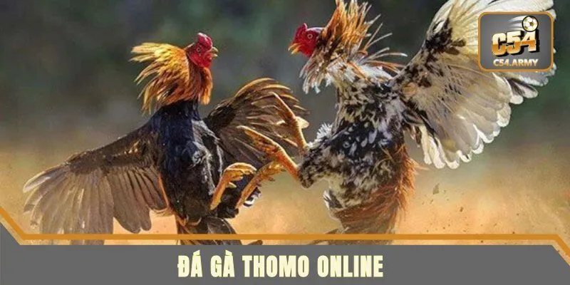 Đá Gà Thomo Online - Trải Nghiệm Trường Gà Hot Nhất 2025