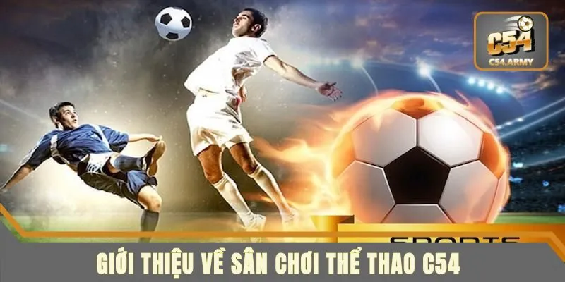 Tổng quan về sảnh game thể thao cá cược C54