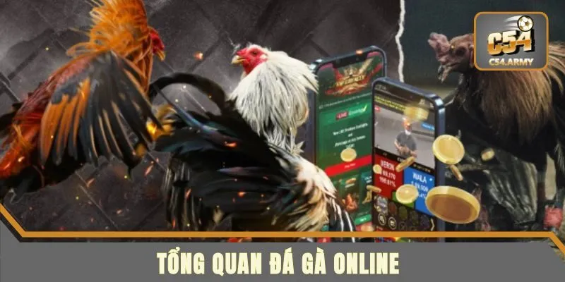 Tổng quan về đá gà online